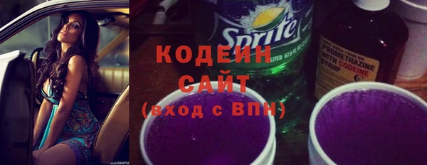 ПСИЛОЦИБИНОВЫЕ ГРИБЫ Богданович