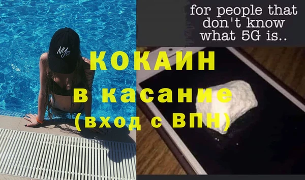 ПСИЛОЦИБИНОВЫЕ ГРИБЫ Богданович