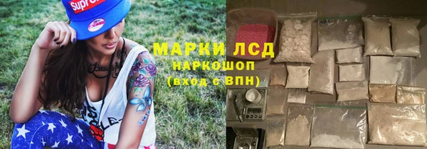 ПСИЛОЦИБИНОВЫЕ ГРИБЫ Богданович